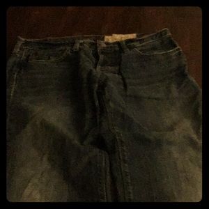 Blue hollister pants